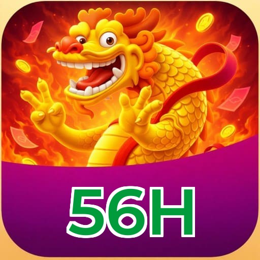 Termos e Condições Transparentes 56H